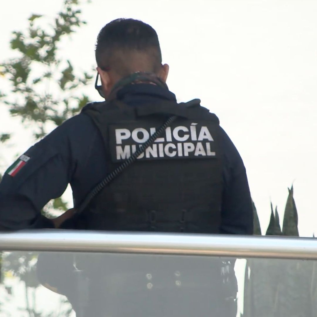 Catean Establecimientos de Cannabis en Plazas Comerciales de Milenio